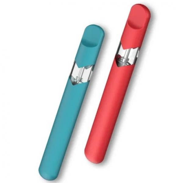 2021 trendy double option e cig vaporizer pen disposable pod vape
