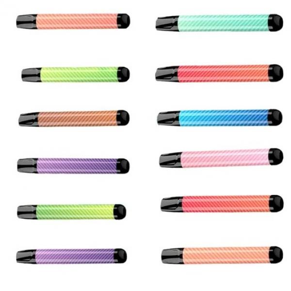 Wholesale Disposable Flint Lighters Pack of 100 W/ Free Display Case Kitchen BBQ